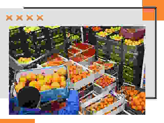 Перевозка скоропортящихся продуктов в Черемхово